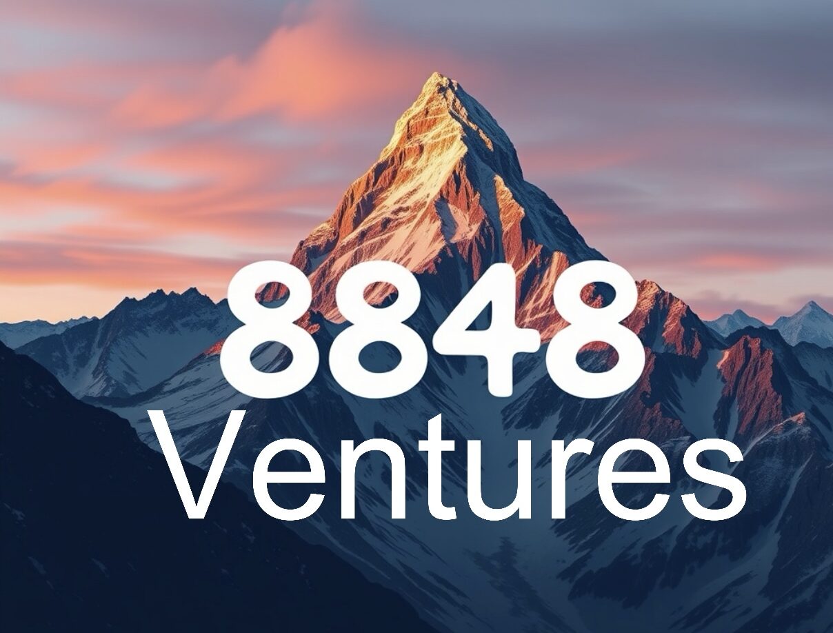 my8848ventures.com